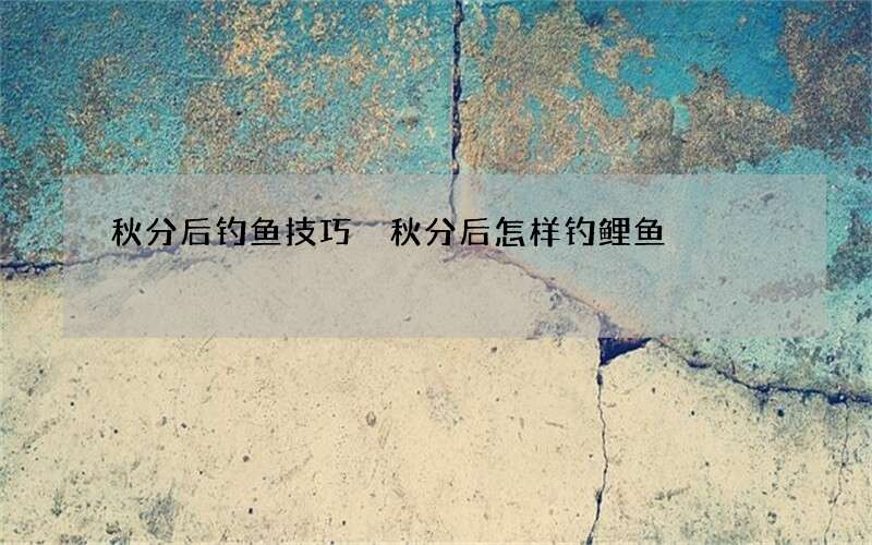 秋分后钓鱼技巧 秋分后怎样钓鲤鱼